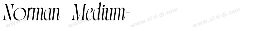 Norman   Medium字体转换